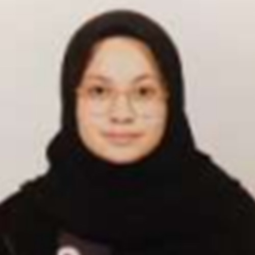 Electronic Engineer